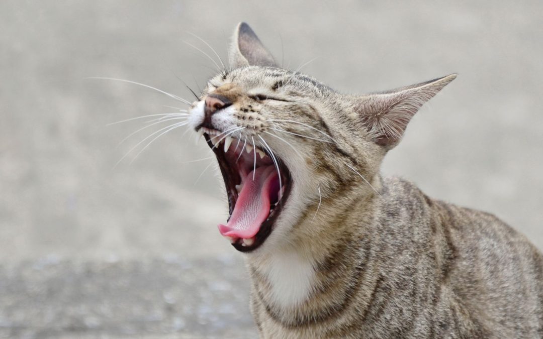 Why is B2B Marketing So Boring?