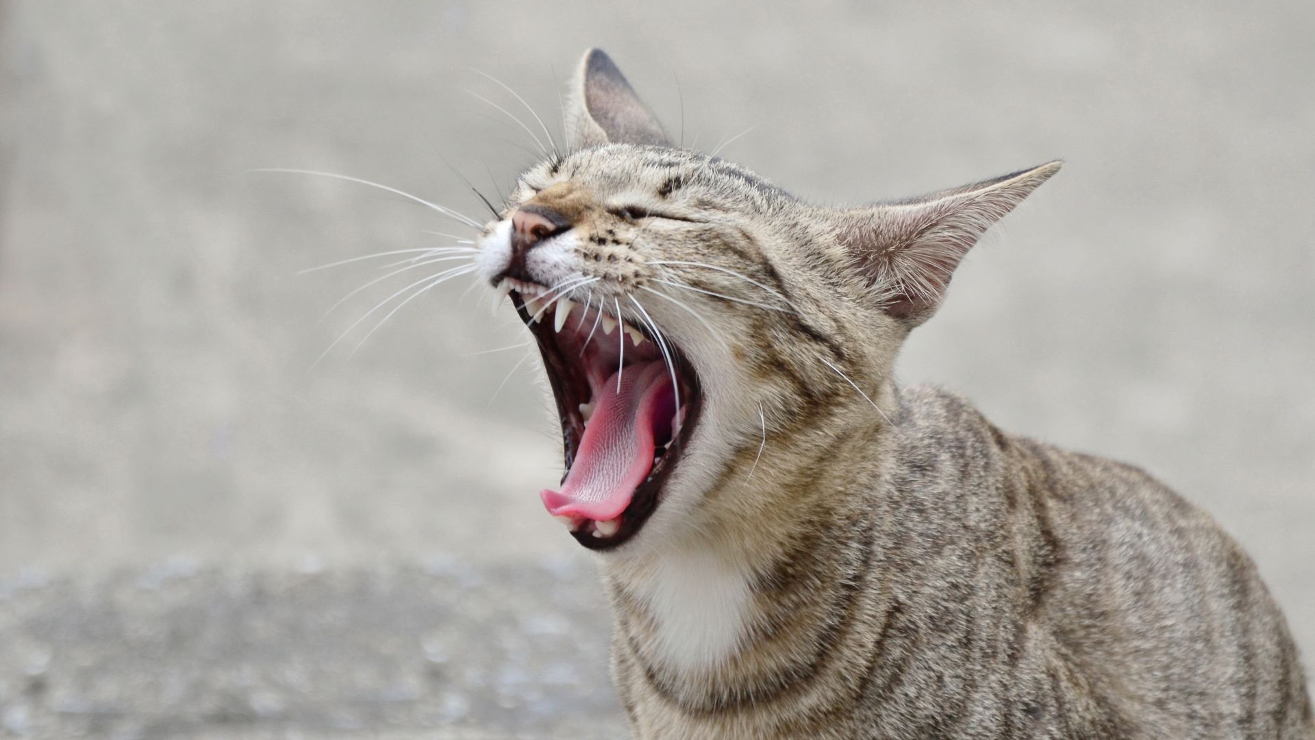 Thought Leadership Featured Image